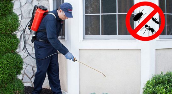 Çekmeköy Böcek ve Haşere İlaçlama böcek ilaçlama ve haşere kontrolü — ilaclama-tr.com